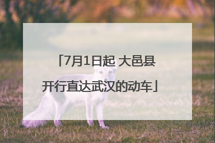 7月1日起 大邑县开行直达武汉的动车