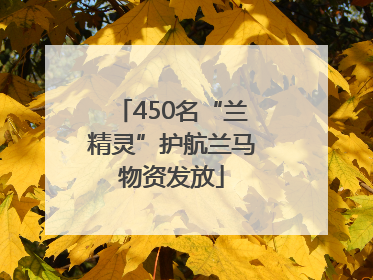 450名“兰精灵”护航兰马物资发放