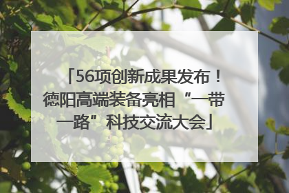 56项创新成果发布！德阳高端装备亮相“一带一路”科技交流大会