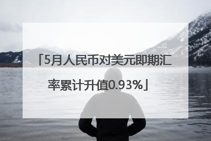 5月人民币对美元即期汇率累计升值0.93%