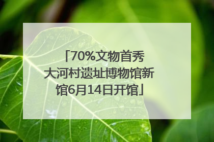 70%文物首秀 大河村遗址博物馆新馆6月14日开馆