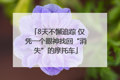 8天不懈追踪 仅凭一个眼神找回“消失”的摩托车