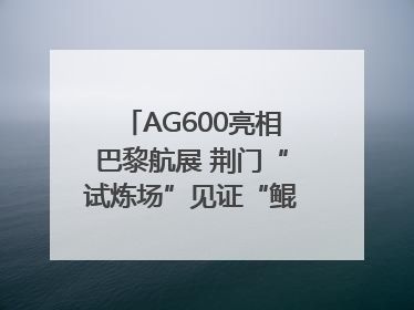 AG600亮相巴黎航展 荆门“试炼场”见证“鲲龙”腾飞