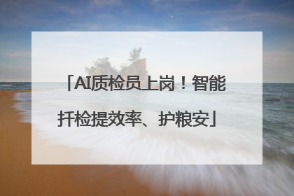AI质检员上岗！智能扦检提效率、护粮安