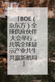 BOE（京东方）全球供应伙伴大会举行，共筑全球显示产业共生共赢新格局