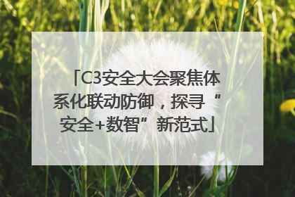 C3安全大会聚焦体系化联动防御，探寻“安全+数智”新范式