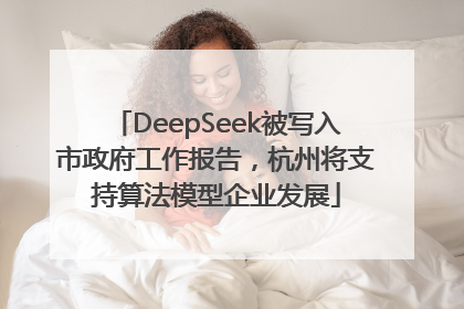 DeepSeek被写入市政府工作报告，杭州将支持算法模型企业发展