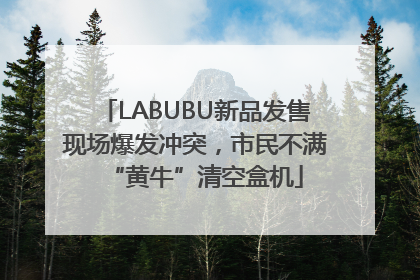 LABUBU新品发售现场爆发冲突，市民不满“黄牛”清空盒机