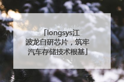 longsys江波龙自研芯片，筑牢汽车存储技术根基
